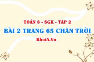 Bài 2 trang 65 Toán 8 Chân trời sáng tạo Tập 2